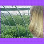 Minneapolis Zoo - Buterfly Garden.jpg